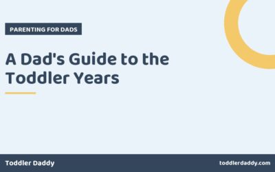 A Dad’s Guide to the Toddler Years