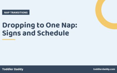 Dropping to One Nap: Signs and Schedule