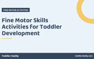Fine Motor Skills Activities for Toddler Development