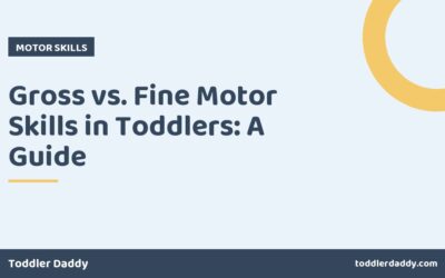 Gross vs. Fine Motor Skills in Toddlers: A Guide