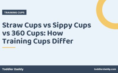 Straw Cups vs Sippy Cups vs 360 Cups: How Training Cups Differ
