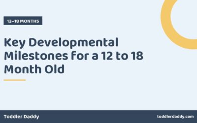 Key Developmental Milestones for a 12 to 18 Month Old