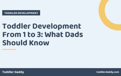 Toddler Development From 1 to 3: What Dads Should Know
