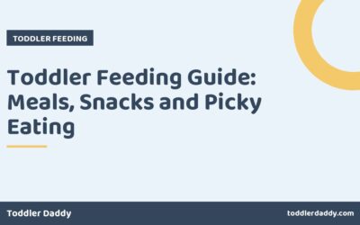 Toddler Feeding Guide: Meals, Snacks and Picky Eating