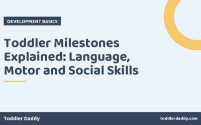 Toddler Milestones Explained: Language, Motor and Social Skills
