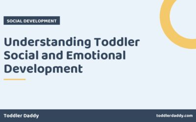 Understanding Toddler Social and Emotional Development
