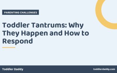 Toddler Tantrums: Why They Happen and How to Respond