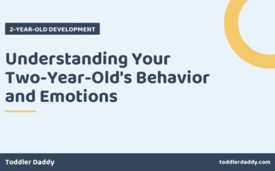 Understanding Your Two-Year-Old’s Behavior and Emotions