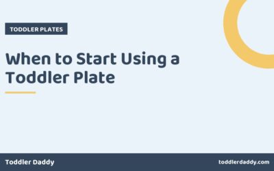 When to Start Using a Toddler Plate